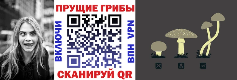 Купить  Касли  Галлюциногенные грибы прущие грибы 